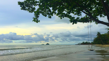 krabi_WNT.jpg