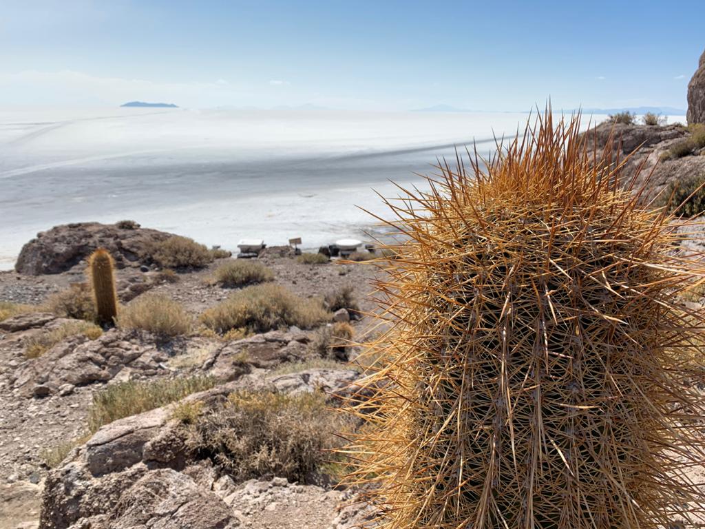 Pustynia solna Salar de Uyuni w Boliwii (zdjęcie 6)